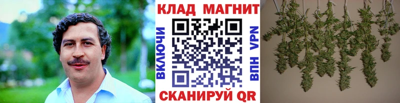 Где купить Рыльск Каннабис Лсд 25 ГАШИШ ссылка на мегу ссылки СОЛЬ Меф