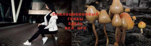mdpv Магадан