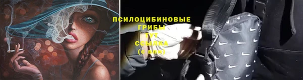 spice Магас