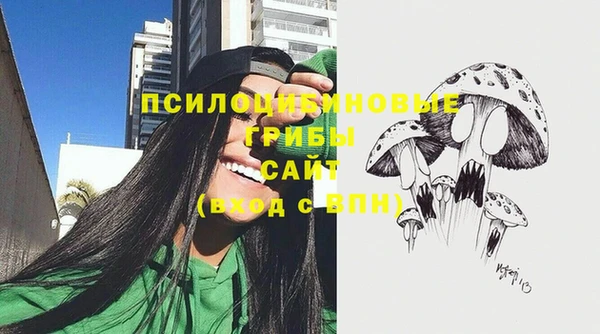 spice Магас