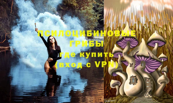mdpv Магадан