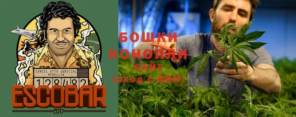 spice Магас