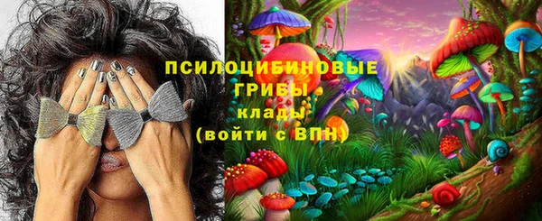mdpv Магадан