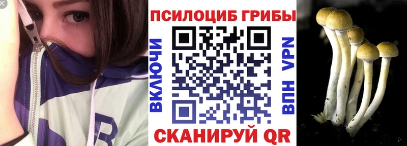закладка  Рыльск  Псилоцибиновые грибы Psilocybine cubensis 